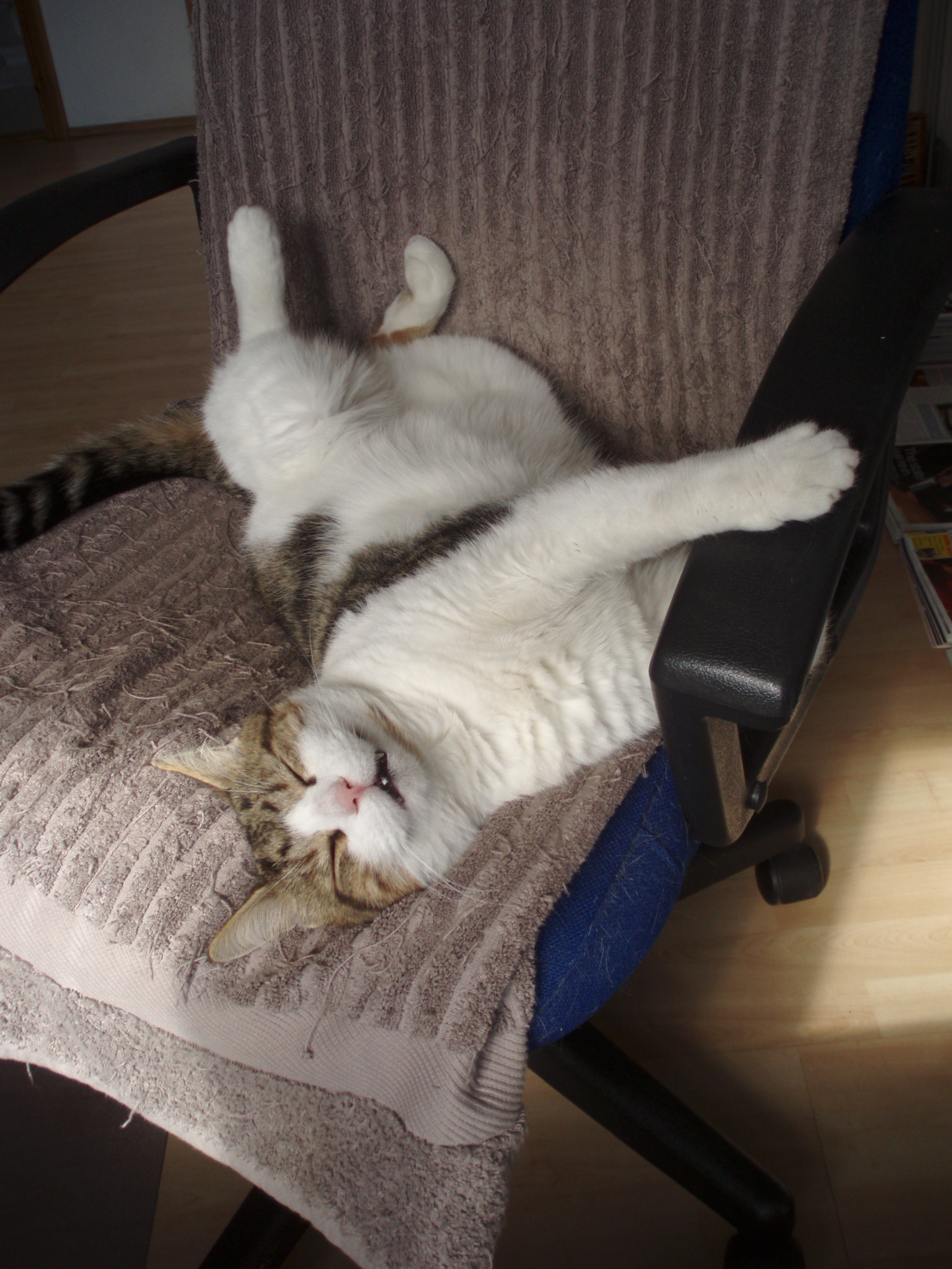 Beige totally relaxed again