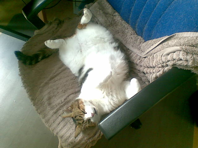 Beige totally relaxed yet again